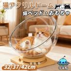  кошка bed кошка акрил купол космический корабль домашнее животное гамак домашнее животное .. место миска типа кошка bed прозрачный космический корабль кошка . пол независимый тип. кошка . пол кошка сопутствующие товары акрил лампочка из дерева лето 