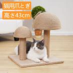  коготь .. кошка коготь точить товары для домашних животных игрушка коготь полировальный -тактный отсутствует аннулирование .. коготь .. предотвращение лен . кошка сопутствующие товары долговечность интерьер кошка симпатичный подарок скол .. предотвращение кошка для 
