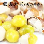  гинкго для бизнеса 5Kg 2025 отчетный год новый предмет гинкго. реальный . имеется .... большой шар 2L Ooita префектура производство крупный . сырой глициния 9 . крупный средний сырой серебристый наан семена закуска крупный гинкго торговец предназначенный пищевые ингредиенты запас 