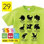 恐竜Tシャツ子ども恐竜tシャツ子供服グッズ大人雑貨パジャマプテラノドンティ...