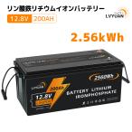 LVYUAN リン酸鉄リチウムイオンバッテリー 12.8V/200AH 2.56KWH 大容量 BMS LiFePO4 自由DIY 容量拡張可能 RV 【5年保証】4000〜15000サイクル