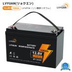 ショッピング電池 LVYUAN LiFePO4（リン酸鉄リチウム）電池 リチウムイオンバッテリー 12V 100AH 1280Wh