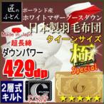 羽毛布団クイーンポーランド産ホワイ...