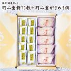 Yahoo! Yahoo!ショッピング(ヤフー ショッピング)福井伝統銘菓セット 羽二重餅 （白）10枚+羽二重がさね5個 【福井県産もち米・たまご使用】