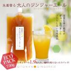 大人のジンジャーエール エコパック 730g 1パック ゆうパケット送料無料