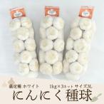 2025 года производства .. вид белый чеснок вид лампочка (4L) 1kg×3 сеть China производство ( Special . чеснок )( China стандарт 4L размер /1kg сеть. стандарт шар число 14-16 шт )