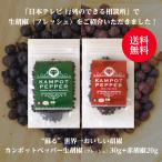 カンポット・ペッパー 生胡椒 30g + 赤胡椒 20g ゆうパケット送料無料