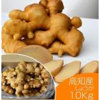 食用 高知県産近江生姜（白）10kg