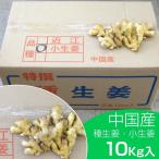 【送料無料】種生姜 中国産小生姜10kg 送料無料(沖縄を除く)