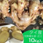 ショッピング10kg 種生姜 タイ産完熟種生姜 （近江生姜白）10kg