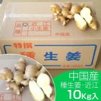 ショッピング10kg 種生姜 中国産近江生姜（黄）10kg