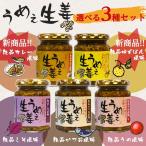 うめぇ生姜（鰹・しそ・梅・ゆず・カレー）各135g 選べる3本セット