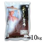 白米 精米 秋田県産 あきたこまち 10kg 令和6年産 甘み 粘り 噛みごたえのバランスがとれたお米です ごはん ご飯