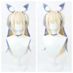 hololive ホロライブ VTuber フワワ アビスガード Fuwawa Abyssgard コスプレ ウィッグ コスチューム用小物 耐熱 かつら 日常 ハロウィン クリスマス