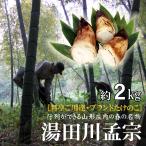  Yamagata префектура . внутри район. весна. достопримечательность [ горячая вода рисовое поле река ..( побеги бамбука ) утро ..] примерно 2kg прохладный рейс 