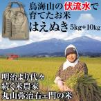 山形県庄内米はえぬき 10kgとご飯の友 しょうゆの実 10個セット