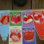  клубника рассада 6 вида комплект 3 номер ....... . глава . женщина .... сырой ... . трава рассада овощи рассада 251113