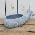 ホエールプランター Sサイズ テラコッタ クジラ 魚 鉢 マリン No.1830 0225 ガーデングッズ　グッズ 資材