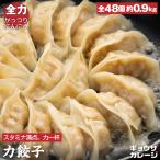 力餃子 冷凍焼き餃子 48個 青森産にんにくたっぷり スタミナ満点 国産銘柄豚 旬の国産キャベツ 肉とニラ具だくさん お取り寄せ ギョウザガレージ 円風