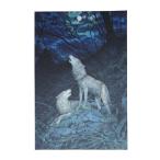 .. печать . Япония .. .. печать .( ширина 122mm высота 182mm) 24 листов складывать .( шар река лен ..) : кошка pohs бесплатная доставка 