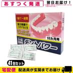 デントパワー 10ヵ月用 40包入 +1包増量中(おまけ!)計41包セット「cp4」