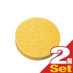  специальный губка низкий цикл терапевтическое устройство super tech to long HP200(SE-237) специальный изменение губка 2 штук [cp5]