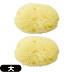 yutaka натуральный море хлопок губка лицо губка большой примерно 5~7cm x2 шт натуральный si- губка [ кошка pohs бесплатная доставка ]