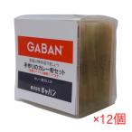 GABAN 手作りのカレー粉セット 100g×12