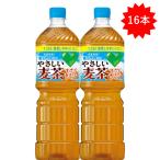 「16本」やさしい麦茶 