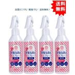 【4個セット】ベリクリーン 静電気防止スプレー 衣類用 無香料 200mL【お届けまで約１週間】【送料無料】
