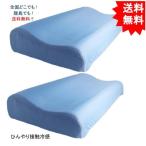 【2個セット】接触冷感＆ひんやりジェルシート 低反発枕ウエーブ型 約30×50×7-10cm【お届けまで約１週間】【送料無料】