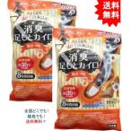 【2個セット】消臭足もとカイロ 貼るつま先用 フレッシュソープの香り ５足分入【お届けまで約１週間】【送料無料】