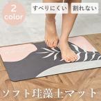 ソフト珪藻土マット 珪藻土 バスマット ソフト タイプ お風呂マット 吸水マット 珪藻土マット 割れない 速乾 洗える 清潔 サラサラ 吸水 柔らかい