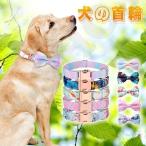 犬 首輪 革 犬用首輪 蝶ネクタイ リボン ソフトパッド 丈夫 シンプル おしゃれ かわいい キャット ペットグッズ 小型犬 中型犬 犬の首輪