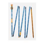  Be si-e-[BCA] Stealth 300( Avalanche Probe )