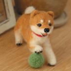 クラフト フェルト手芸 フェルト羊毛キット ハマナカ 羊毛フェルトでうちのこをつくろう 柴犬
