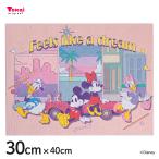  бриллиант фиксирующие детали Disney Mickey &f линзы City * pop 30×40cm | бисер парусина искусство ....Disney бриллиант искусство 