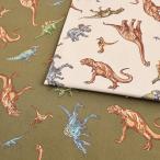 o.. ввод серии Dinosaur park oks50cm единица измерения l порез продажа продается куском ткань ткань ткань хлопок 100%...... динозавр Dinosaur ju lachic настоящий 
