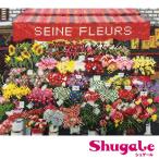 刺繍 刺しゅうキット フランスの風景 パリの花屋さん