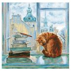 刺繍 輸入キット RTO SILVER MORNING