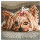 刺繍 PET（Yorkshire Baby） 輸入キット