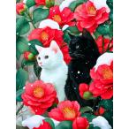  бриллиант искусство кошка ..AB бисер 4 угол бисер бриллиант искусство квадратное Aurora бисер бриллиант картина комплект huacan рукоделие mo The ik