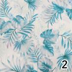 kyasi- средний остров (kya Cima m Islay ndo стиль ) Hawaiian ткань IslandStyleKathyMom02602 мака nika морской еж n2GR 1m cut 