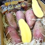  есть перевод tower layo- Dell 10 kilo Hokkaido .. блок производство картофель 