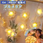  плюмерия освещение 6m 40LED тип аккумулятора IP65 водонепроницаемый обычно лампочка-индикатор мигает 2 образец цветок свет Hawaiian Galland салон магазин экстерьер орнамент интерьер A264