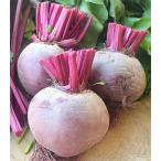 Yahoo! Yahoo!ショッピング(ヤフー ショッピング)北海道産ビーツ8kg（ハウス栽培）/北海道産西洋野菜、オマケつき、ボルシチなら