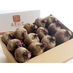 Yahoo! Yahoo!ショッピング(ヤフー ショッピング)ビーツ 2kg/今なら規格外ビーツのオマケつき！北海道産