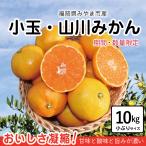 【期間・数量限定】小玉みかん 10kg 山川みかん 小粒みかん 旬みかん 産地直送 農家直送 甘い 濃厚 美味しい 在庫限り 送料無料 おすそ分け こたつみかん