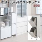 ゴミ箱 15l 分別 スリム キッチン 薄型 大容量 収納 2分別 2段 ダストボックス キャスター