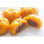 Yahoo! Yahoo!ショッピング(ヤフー ショッピング)かぼちゃもち 北海道 お取り寄せ 冷凍食品 母の日 十勝あずきあんのかぼちゃもち包み 40g×６個 点心 グルメ スイーツ 電子レンジ 十勝産 あずき